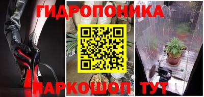 соль ск Пугачёв